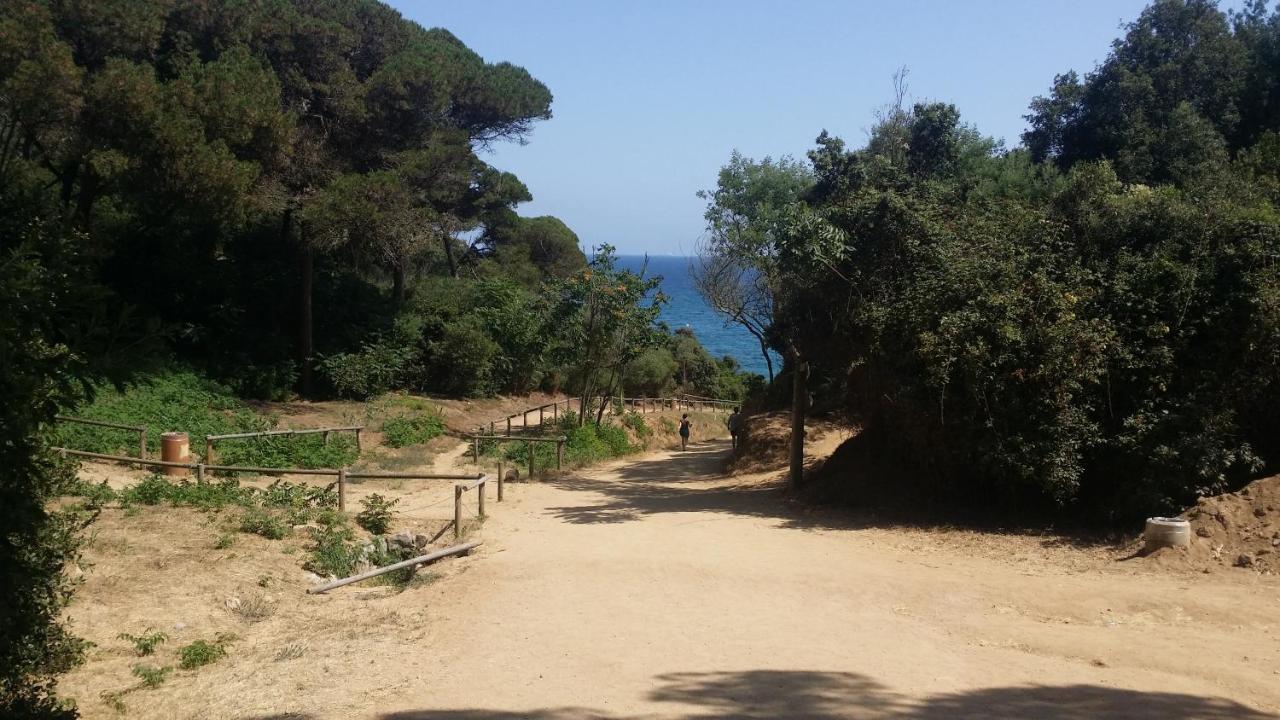 Apartamento Sa Boadella Beach, - Costa Brava *